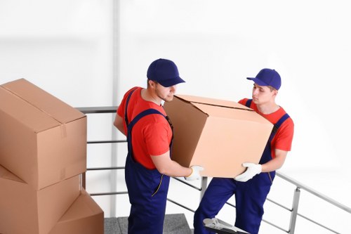 Professional packing service preparing household boxes in Haroldhill
